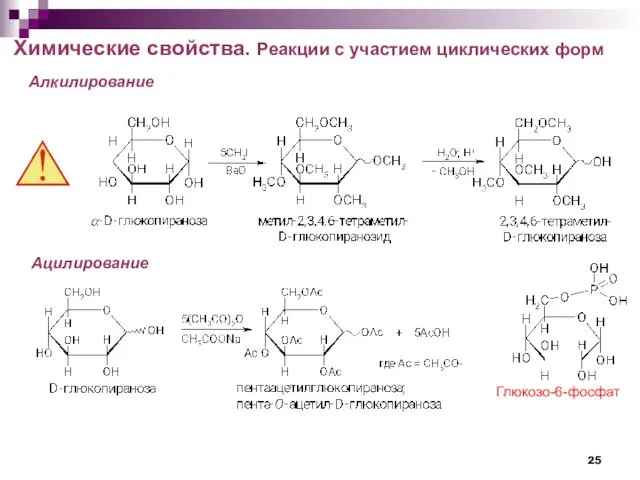 Химические свойства. Реакции с участием циклических форм Алкилирование Ацилирование Глюкозо-6-фосфат