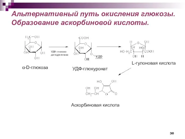 Альтернативный путь окисления глюкозы. Образование аскорбиновой кислоты. α-D-глюкоза УДФ-глюкуронат L-гулоновая кислота Аскорбиновая кислота УДФ-глюкозо дегидрогеназа