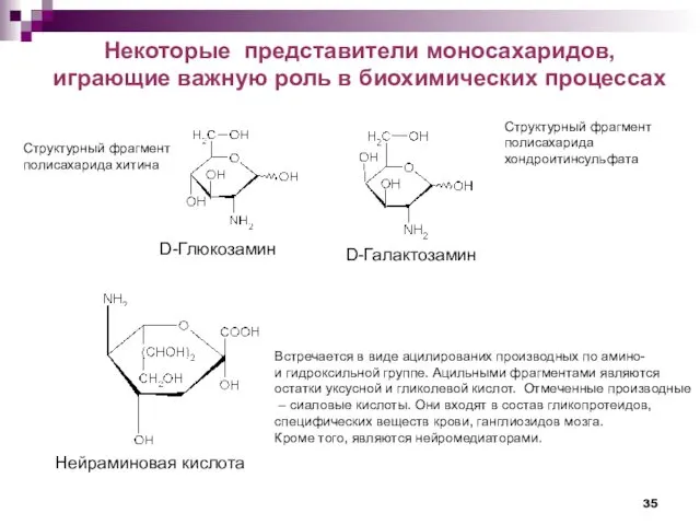 Некоторые представители моносахаридов, играющие важную роль в биохимических процессах D-Глюкозамин