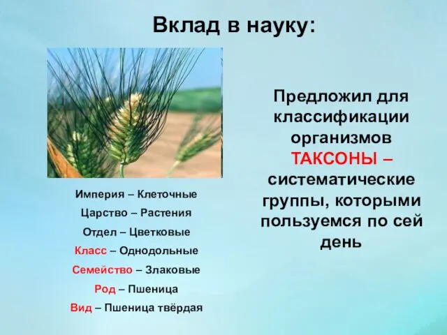 Вклад в науку: Предложил для классификации организмов ТАКСОНЫ – систематические