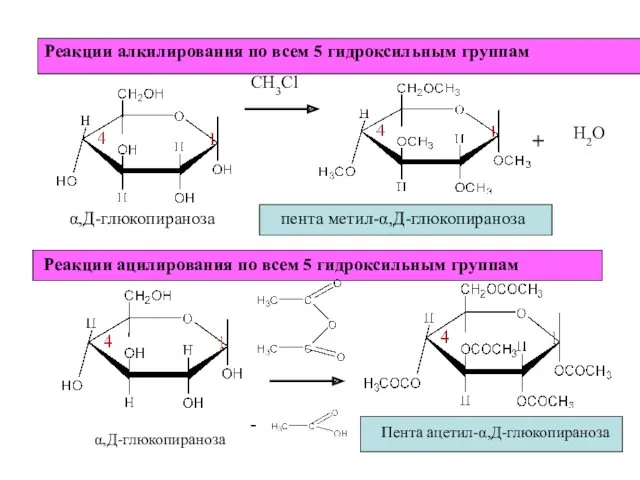 Реакции алкилирования по всем 5 гидроксильным группам СН3Cl + Н2О