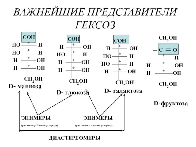 ВАЖНЕЙШИЕ ПРЕДСТАВИТЕЛИ ГЕКСОЗ D- манноза D- галактоза D-фруктоза ЭПИМЕРЫ (различия у 4 атома углерода). ДИАСТЕРЕОМЕРЫ