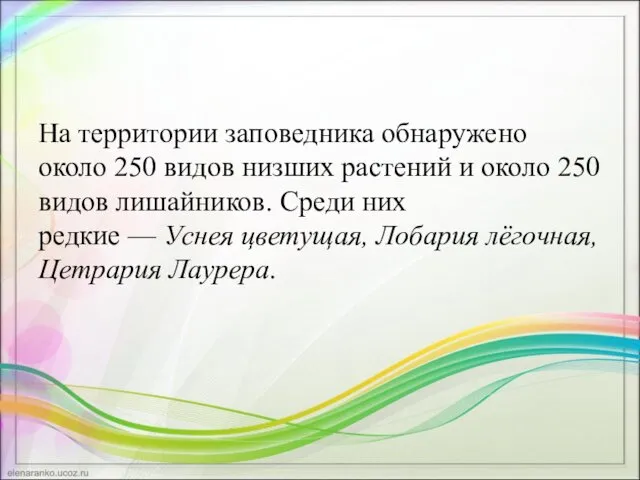 На территории заповедника обнаружено около 250 видов низших растений и