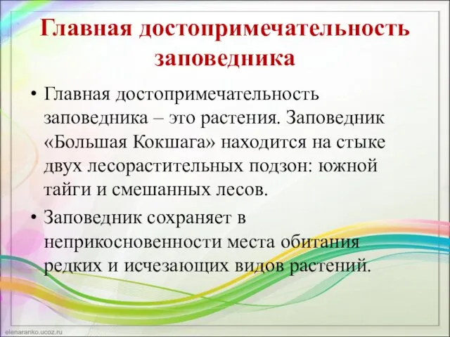 Главная достопримечательность заповедника Главная достопримечательность заповедника – это растения. Заповедник