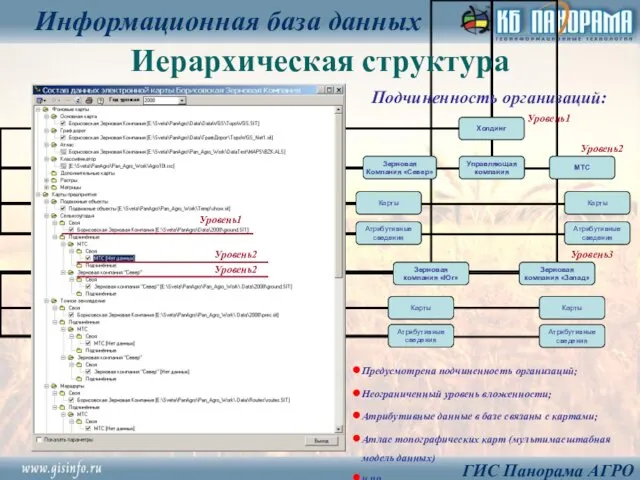 Иерархическая структура Информационная база данных ГИС Панорама АГРО Предусмотрена подчиненность