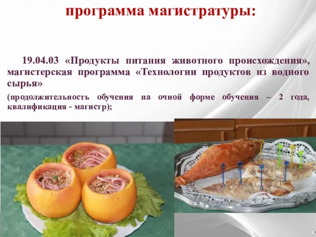 программа магистратуры: 19.04.03 «Продукты питания животного происхождения», магистерская программа «Технологии продуктов из водного