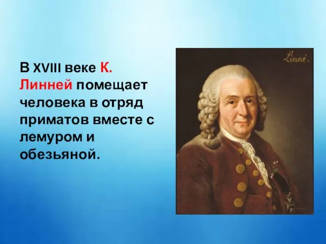 В XVIII веке К. Линней помещает человека в отряд приматов вместе с лемуром и обезьяной.