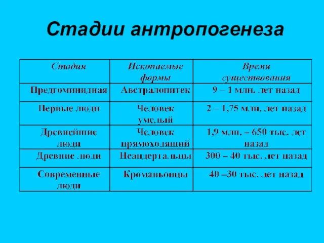 Стадии антропогенеза