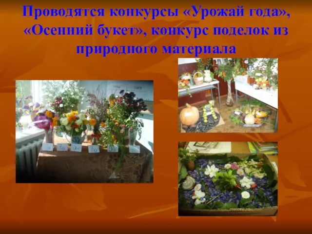 Проводятся конкурсы «Урожай года», «Осенний букет», конкурс поделок из природного материала