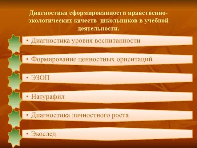 Диагностика сформированности нравственно-экологических качеств школьников в учебной деятельности.