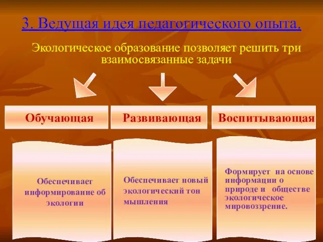 3. Ведущая идея педагогического опыта. Экологическое образование позволяет решить три