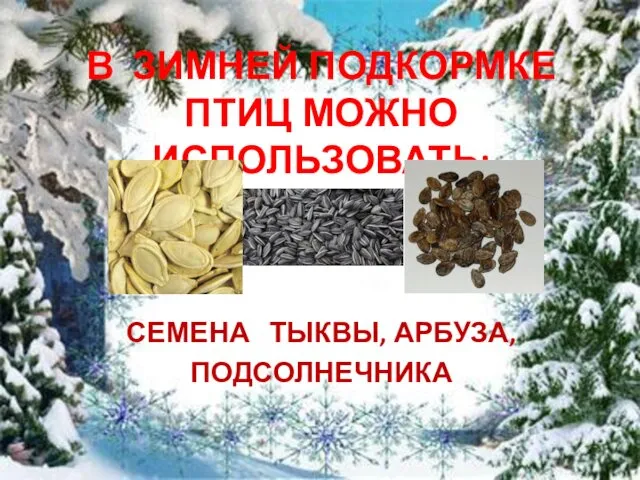 В ЗИМНЕЙ ПОДКОРМКЕ ПТИЦ МОЖНО ИСПОЛЬЗОВАТЬ: СЕМЕНА ТЫКВЫ, АРБУЗА, ПОДСОЛНЕЧНИКА