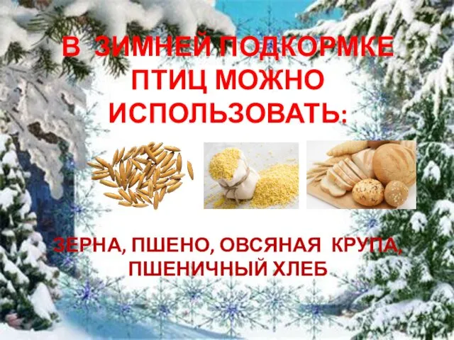 В ЗИМНЕЙ ПОДКОРМКЕ ПТИЦ МОЖНО ИСПОЛЬЗОВАТЬ: ЗЕРНА, ПШЕНО, ОВСЯНАЯ КРУПА, ПШЕНИЧНЫЙ ХЛЕБ