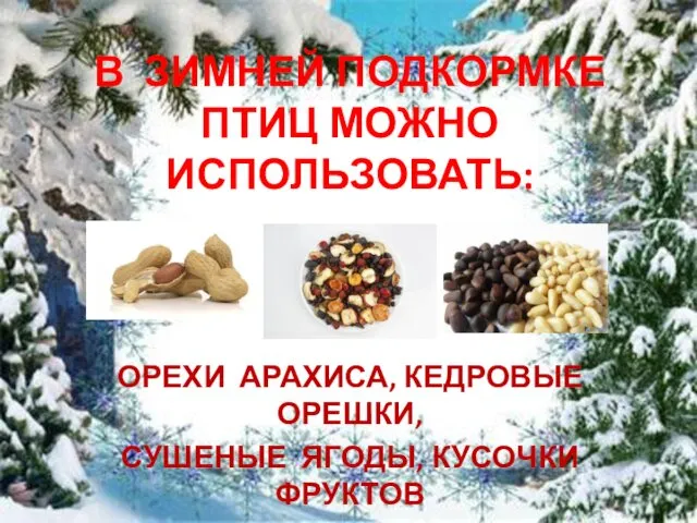 В ЗИМНЕЙ ПОДКОРМКЕ ПТИЦ МОЖНО ИСПОЛЬЗОВАТЬ: ОРЕХИ АРАХИСА, КЕДРОВЫЕ ОРЕШКИ, СУШЕНЫЕ ЯГОДЫ, КУСОЧКИ ФРУКТОВ