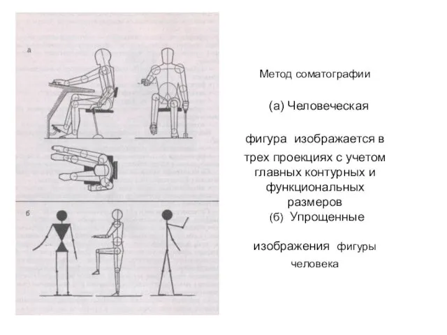 Метод соматографии (а) Человеческая фигура изображается в трех проекциях с