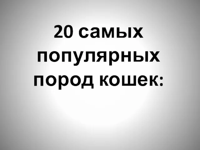 20 самых популярных пород кошек: