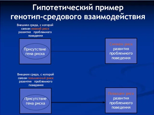 Гипотетический пример генотип-средового взаимодействия Присутствие гена риска Присутствие гена риска