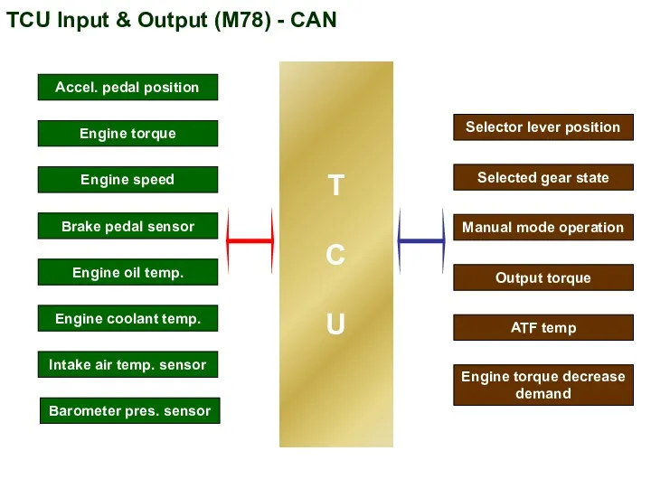 TCU Input & Output (M78) - CAN Selector lever position