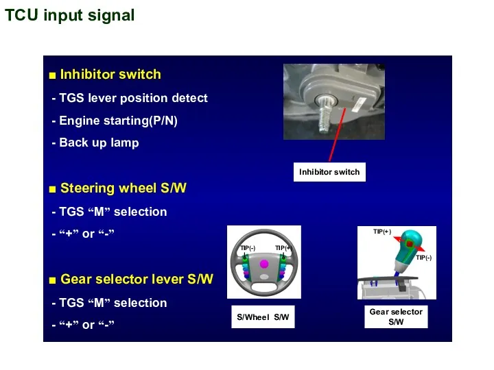 TCU input signal ■ Inhibitor switch - TGS lever position