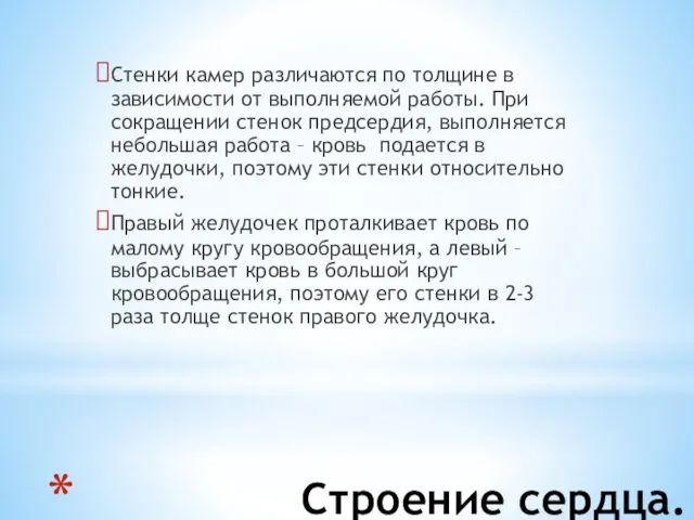 Строение сердца. Стенки камер различаются по толщине в зависимости от