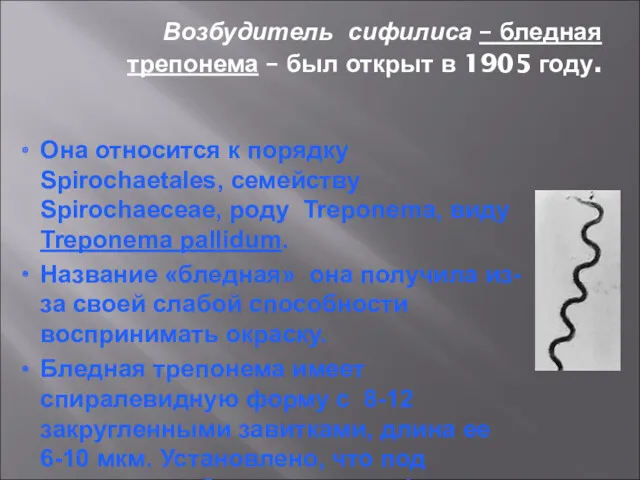 Возбудитель сифилиса – бледная трепонема – был открыт в 1905