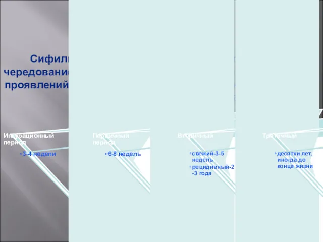 Сифилису свойственна периодичность течения, чередование периодов, определенная смена клинических проявлений,