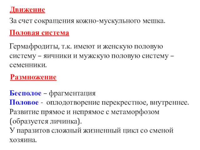 Движение За счет сокращения кожно-мускульного мешка. Половая система Гермафродиты, т.к.