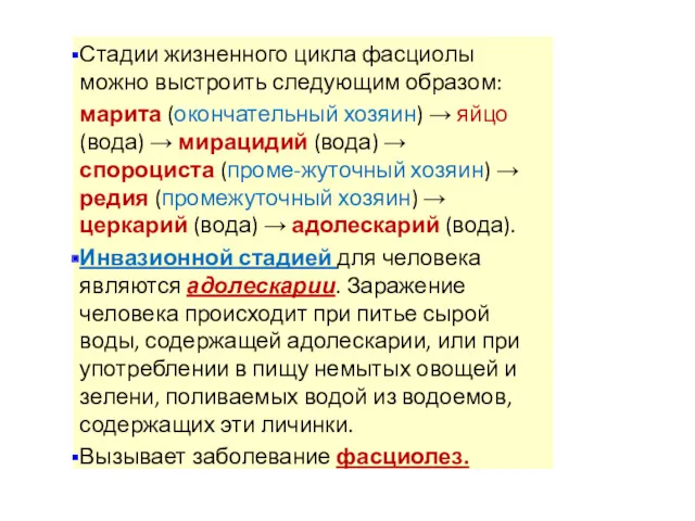 Стадии жизненного цикла фасциолы можно выстроить следующим образом: марита (окончательный