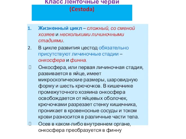 Класс Ленточные черви (Cestoda) Жизненный цикл – сложный, со сменой