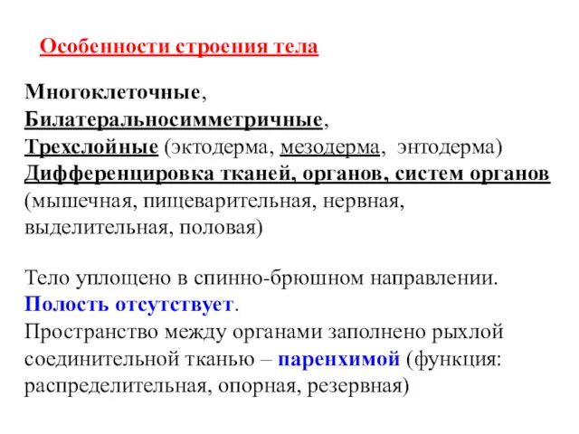 Особенности строения тела Многоклеточные, Билатеральносимметричные, Трехслойные (эктодерма, мезодерма, энтодерма) Дифференцировка