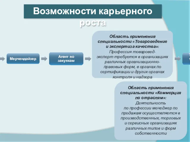 Продавец Мерчендайзер Агент по закупкам Агент по снабжению Менеджер по продажам Товаровед, товаровед-эксперт