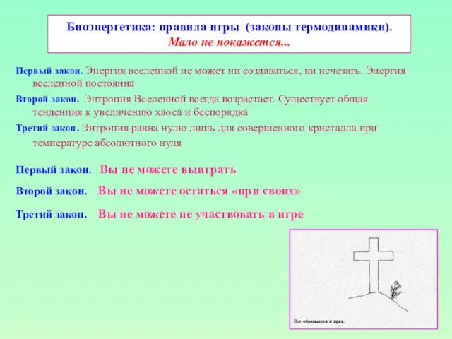 Биоэнергетика: правила игры (законы термодинамики). Мало не покажется... Первый закон.