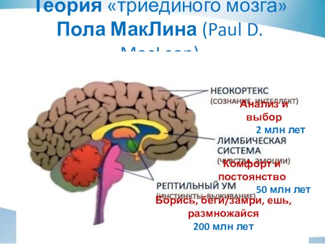 Теория «триединого мозга» Пола МакЛина (Paul D. MacLean) Борись, беги/замри, ешь, размножайся 200