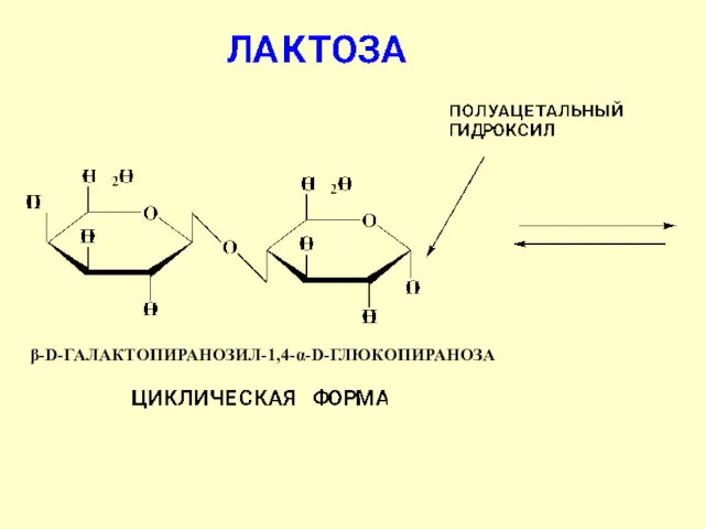 β-D-ГАЛАКТОПИРАНОЗИЛ-1,4-α-D-ГЛЮКОПИРАНОЗА