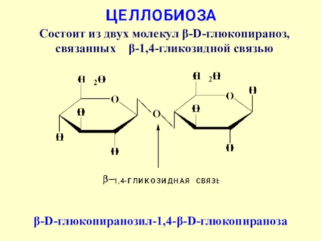 Состоит из двух молекул β-D-глюкопираноз, связанных β-1,4-гликозидной связью β-D-глюкопиранозил-1,4-β-D-глюкопираноза