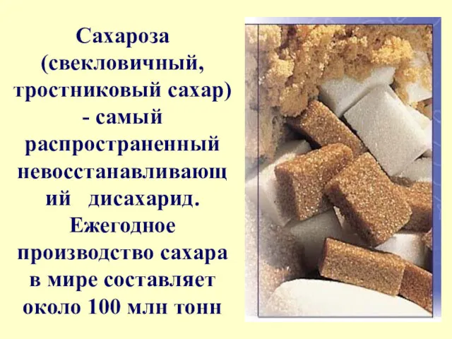 Сахароза (свекловичный, тростниковый сахар) - самый распространенный невосстанавливающий дисахарид. Ежегодное