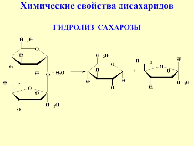 Химические свойства дисахаридов ГИДРОЛИЗ САХАРОЗЫ