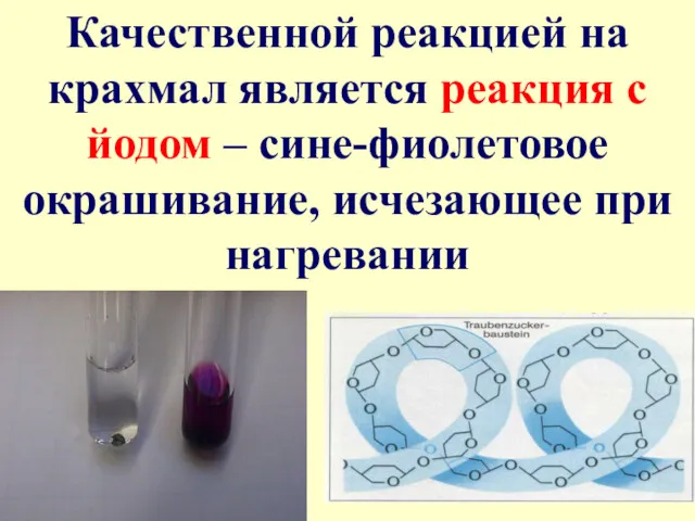 Качественной реакцией на крахмал является реакция с йодом – сине-фиолетовое окрашивание, исчезающее при нагревании