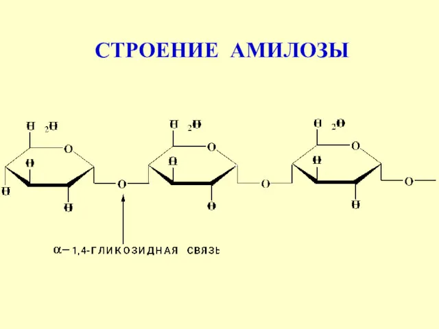 СТРОЕНИЕ АМИЛОЗЫ