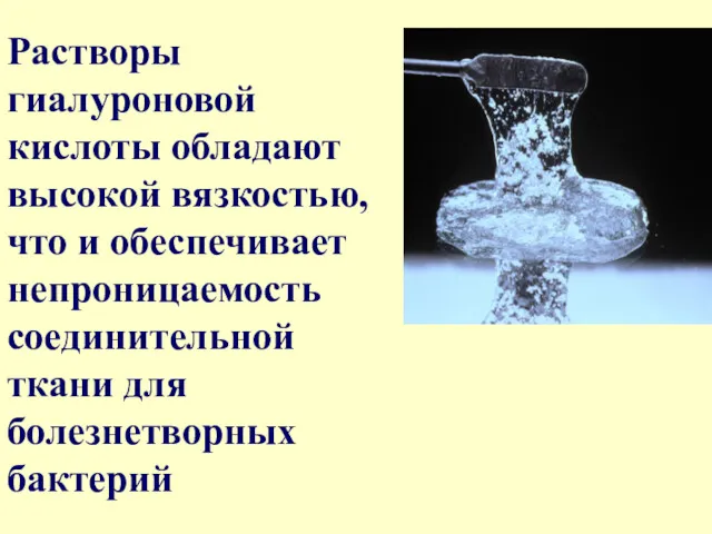 Растворы гиалуроновой кислоты обладают высокой вязкостью, что и обеспечивает непроницаемость соединительной ткани для болезнетворных бактерий