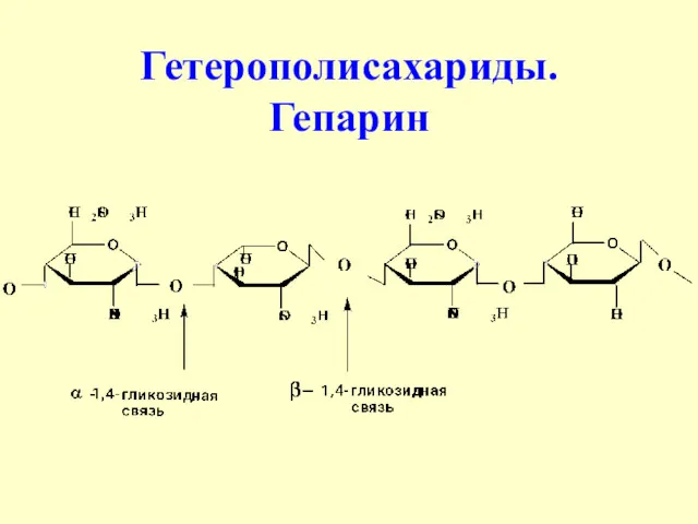 Гетерополисахариды. Гепарин