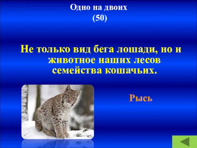 Одно на двоих (50) Не только вид бега лошади, но