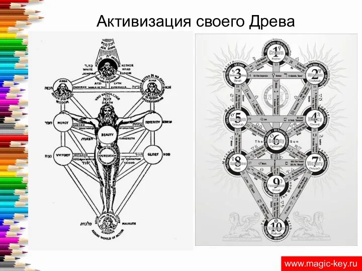 Активизация своего Древа www.magic-key.ru