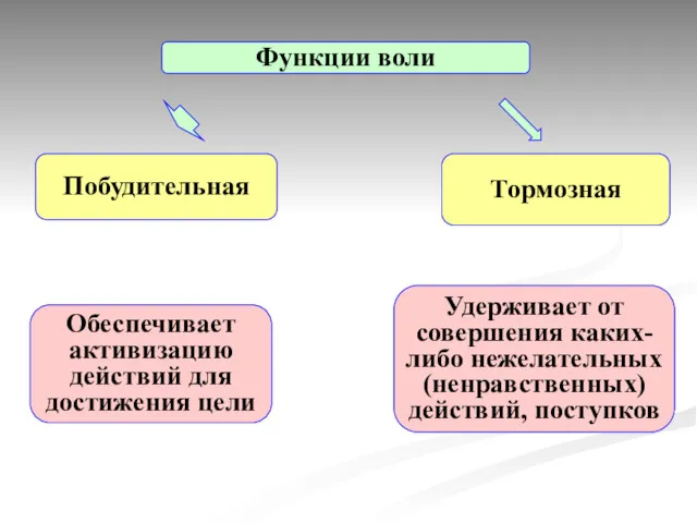 Побудительная Тормозная Функции воли Обеспечивает активизацию действий для достижения цели