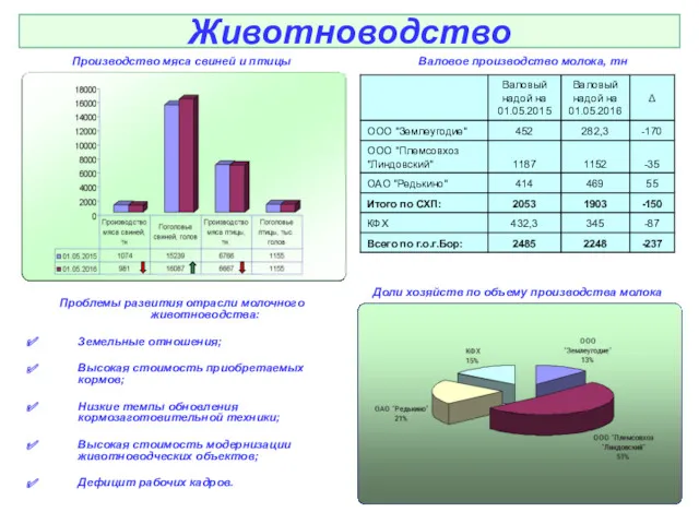 Животноводство Производство мяса свиней и птицы Проблемы развития отрасли молочного