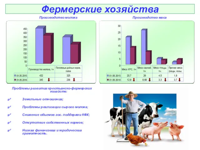 Фермерские хозяйства Производство молока Проблемы развития крестьянско-фермерских хозяйств: Земельные отношения;