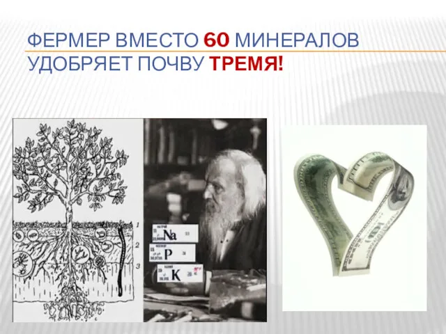 ФЕРМЕР ВМЕСТО 60 МИНЕРАЛОВ УДОБРЯЕТ ПОЧВУ ТРЕМЯ!