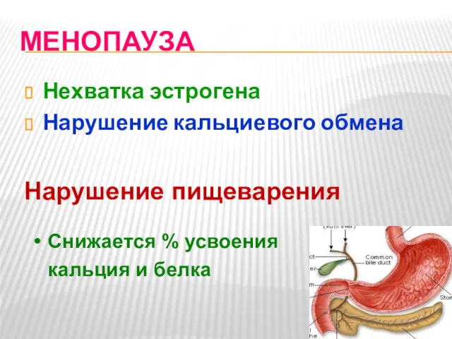 МЕНОПАУЗА Нехватка эстрогена Нарушение кальциевого обмена Нарушение пищеварения Снижается % усвоения кальция и белка