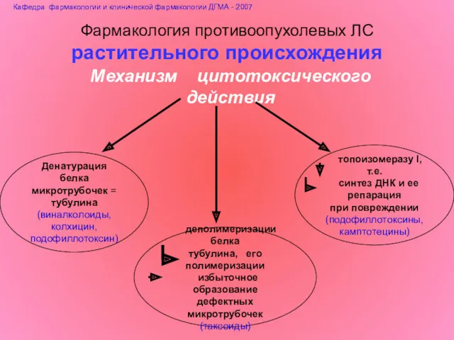 Фармакология противоопухолевых ЛС растительного происхождения Механизм цитотоксического действия Денатурация белка