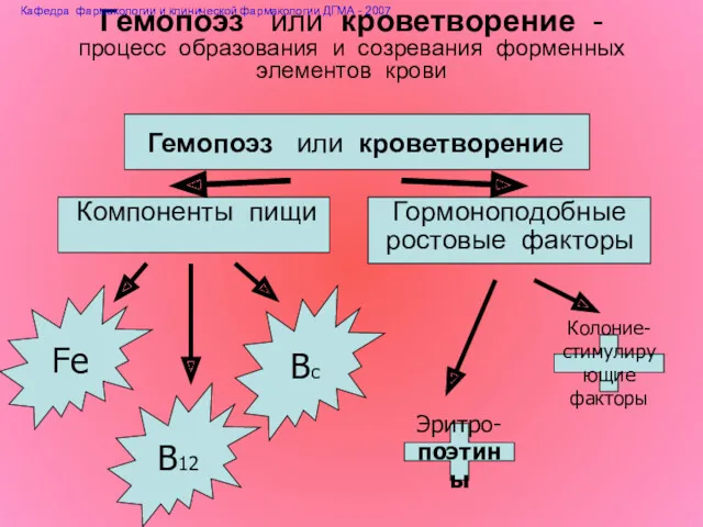 Гемопоэз или кроветворение Компоненты пищи Гормоноподобные ростовые факторы Гемопоэз или